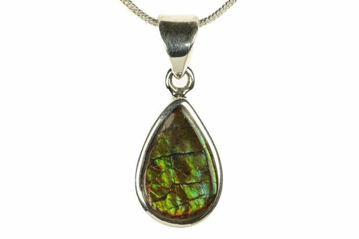 Stunning Ammolite Pendant (Necklace) - Sterling Silver #279986